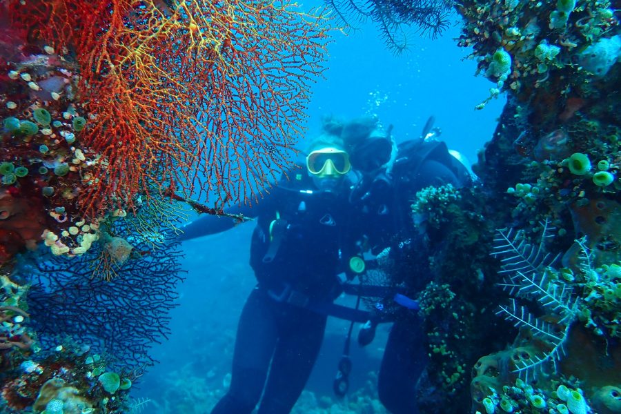 P8290074